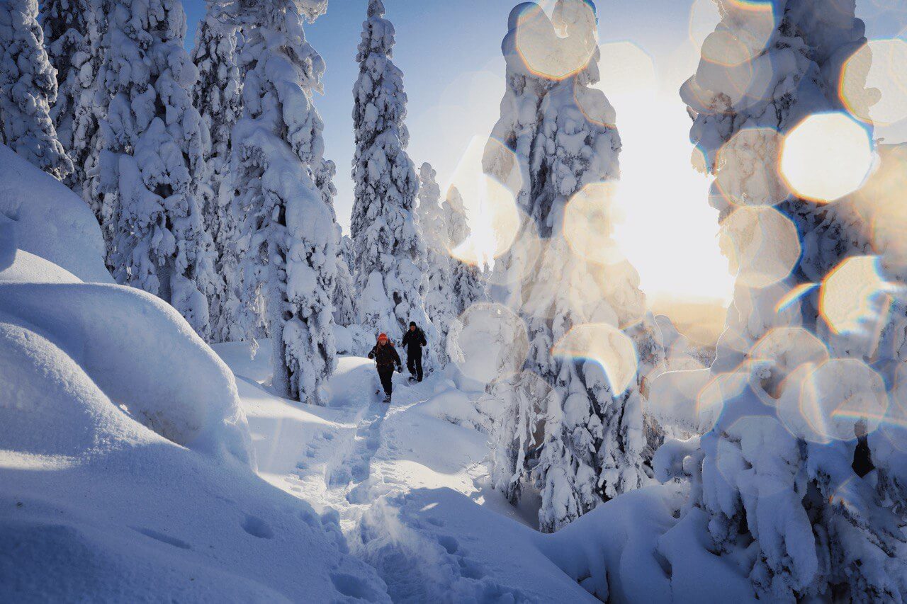 Karelia calling!
