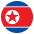 n korea flag