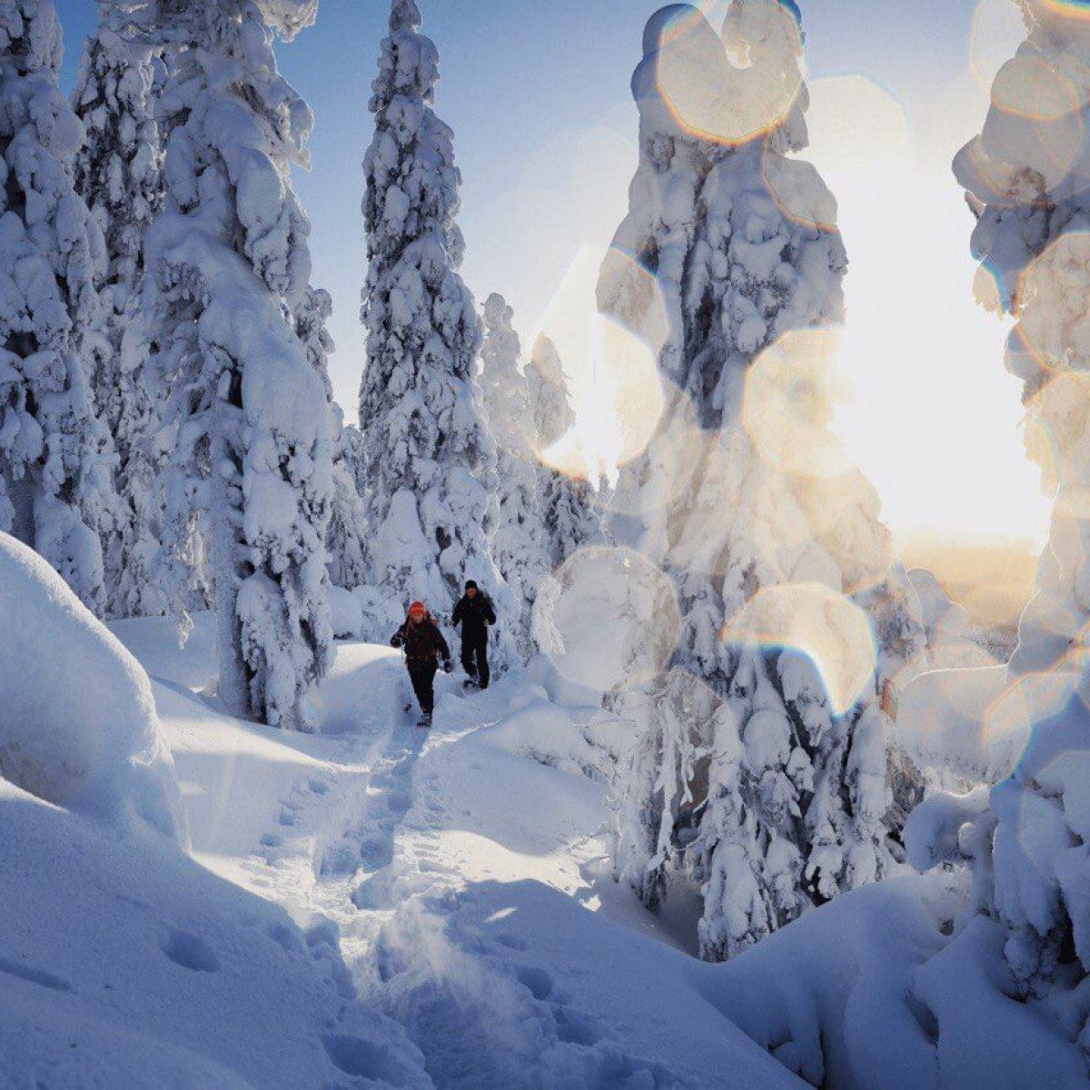 How we successfully drilled the Finnish North Karelia into the minds of Russian tourists