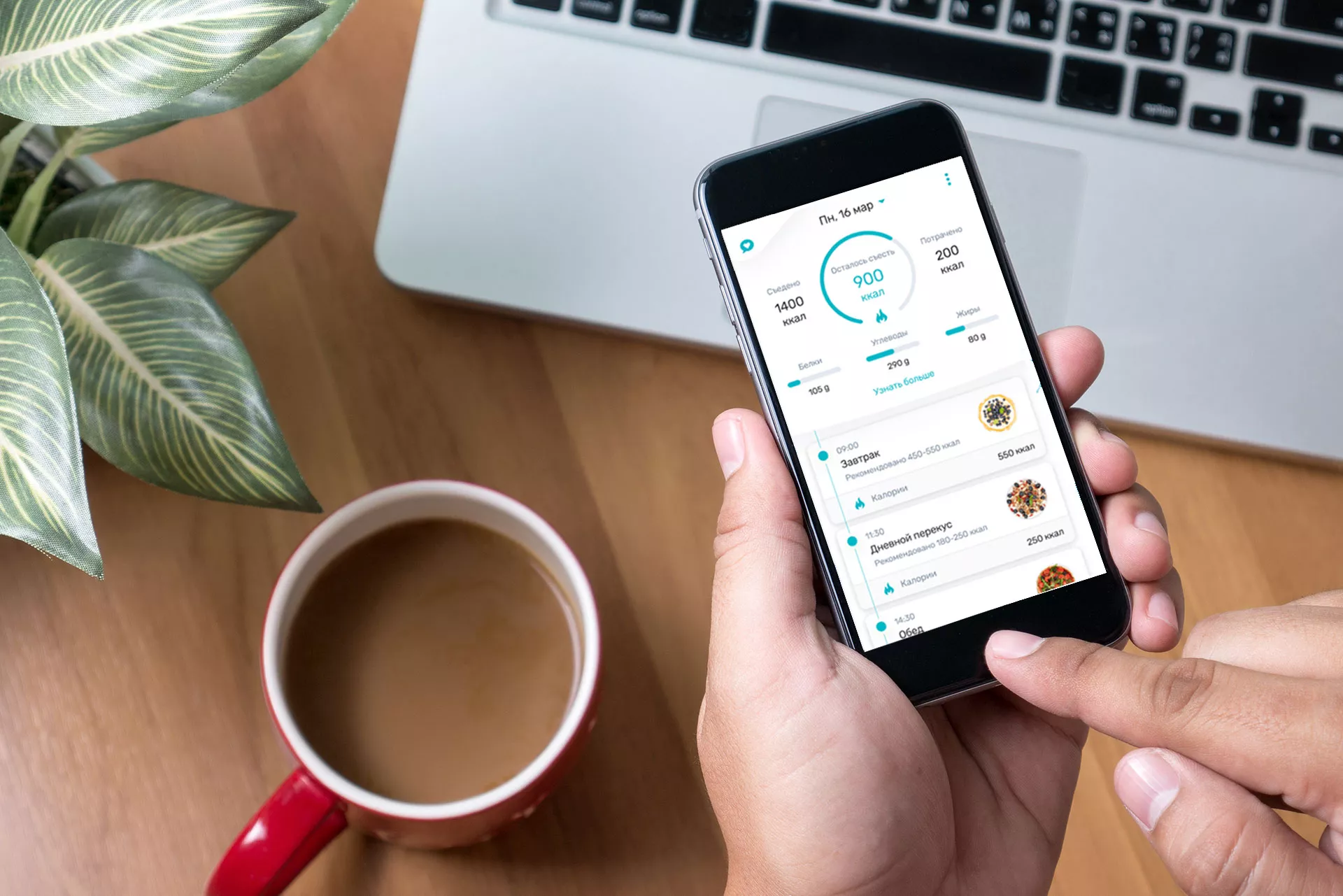 User holding a smartphone with a nutrition tracking app interface, used as a visual in the case study on Russia-Promo
