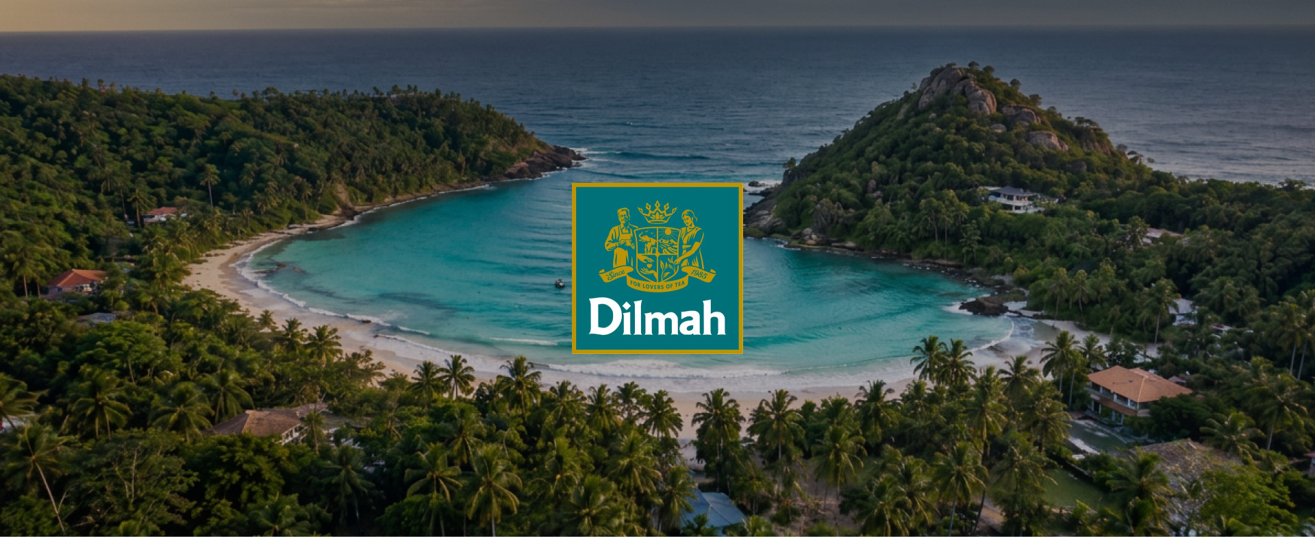 Banner Dilmah
