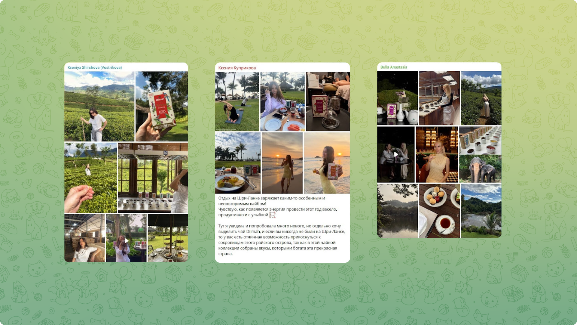Screenshot Telegramm Dilmah RMAA Case Studies